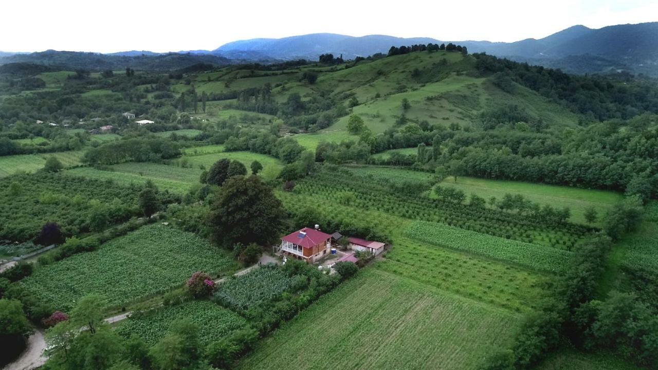 Guesthouse Kamelia Martvili Bagian luar foto